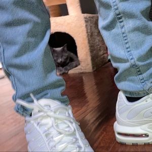 Meet your Posher, Layla